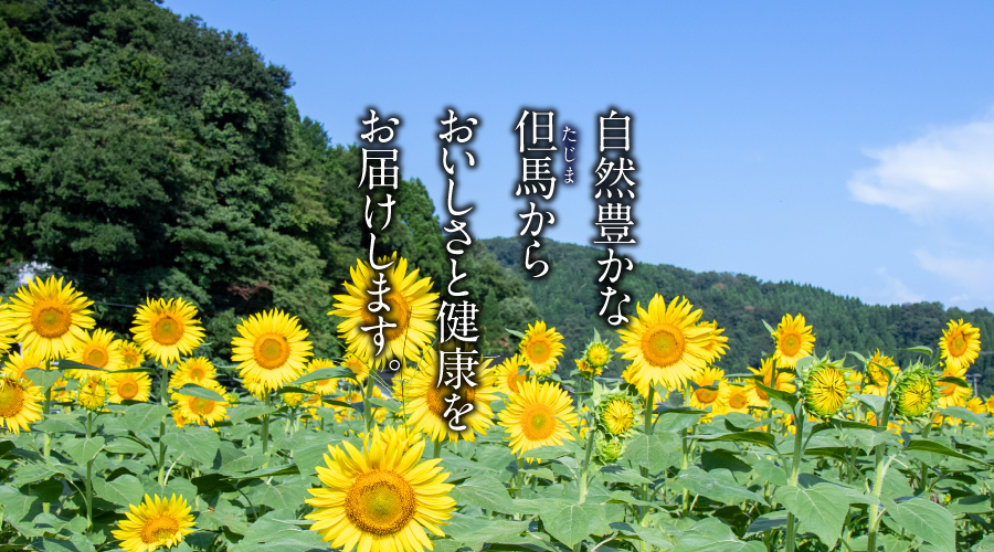 自然豊かな但馬から