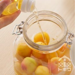 自家製梅ビネガー　完熟梅とお酢で手軽に作ろう